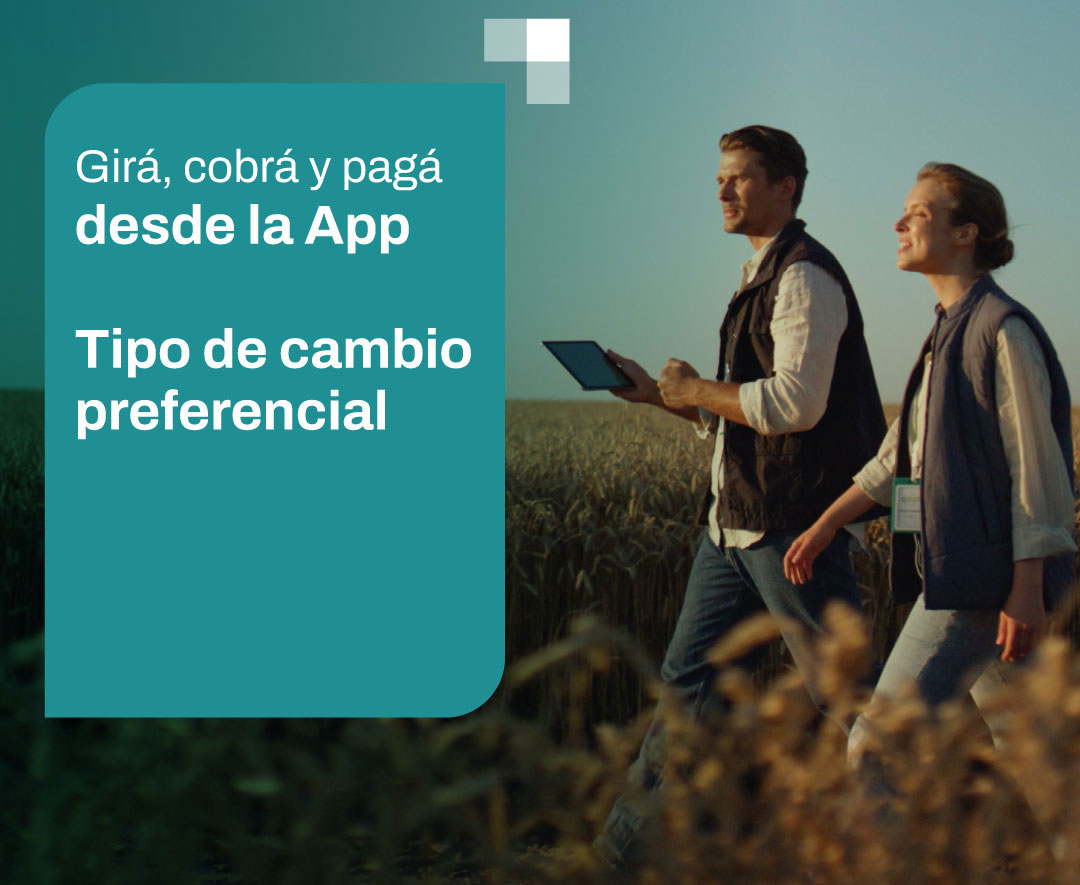 Descripción de la imagen 1